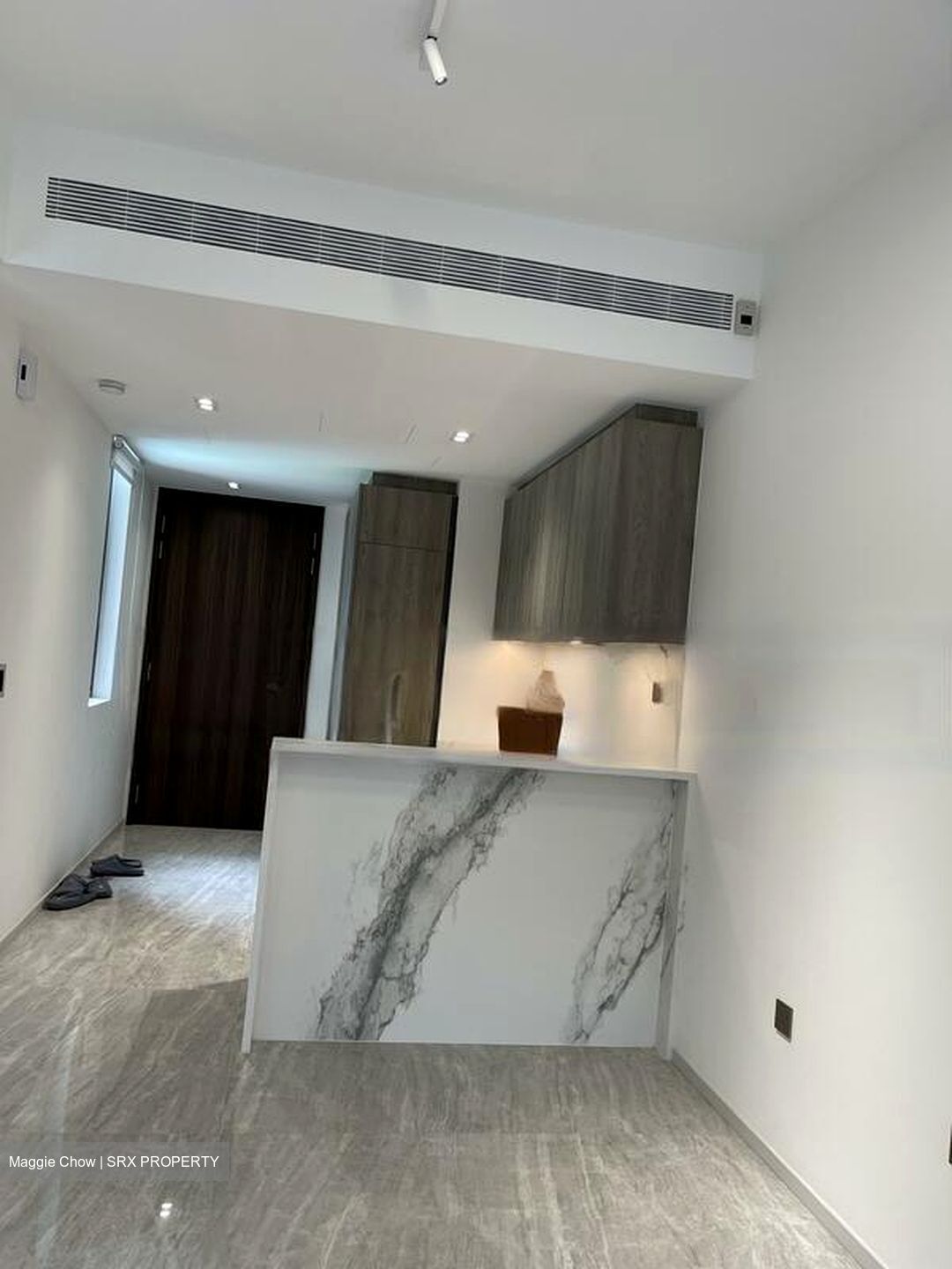 Leedon Green (D10), Condominium #564582011